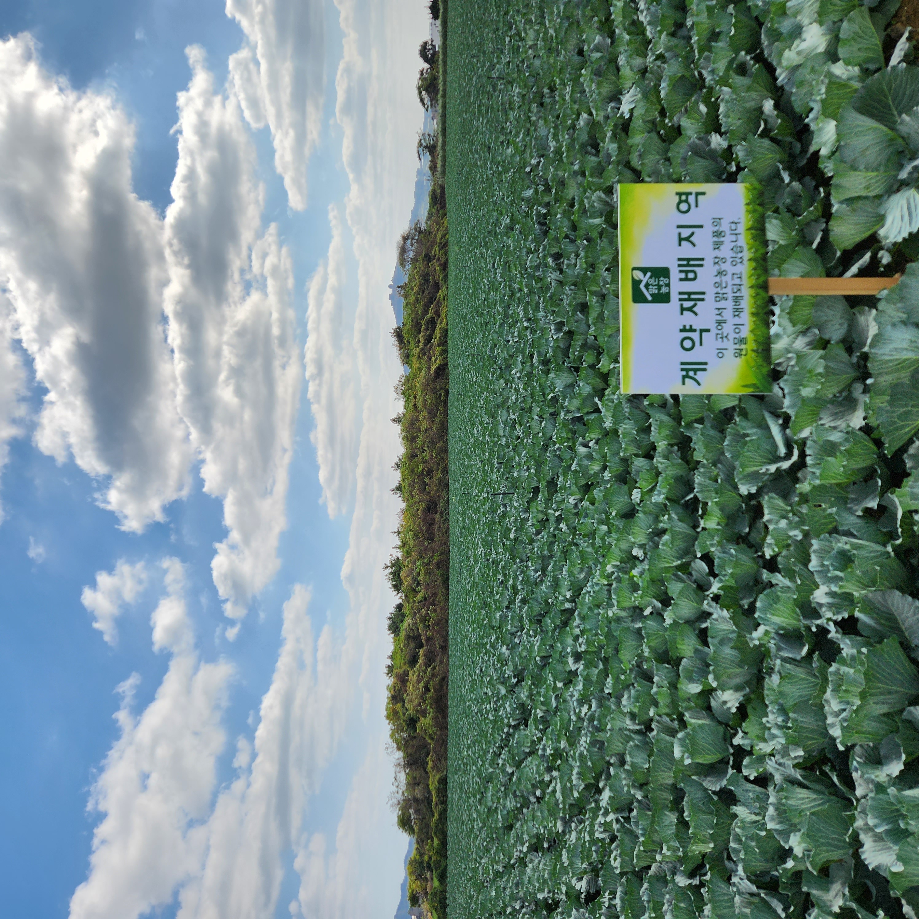 ���� ä�� ����