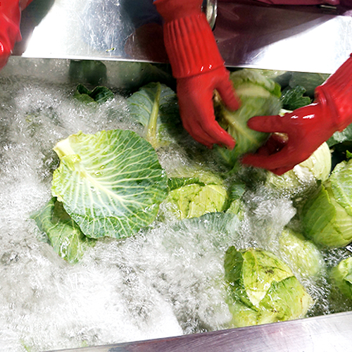 ������ô